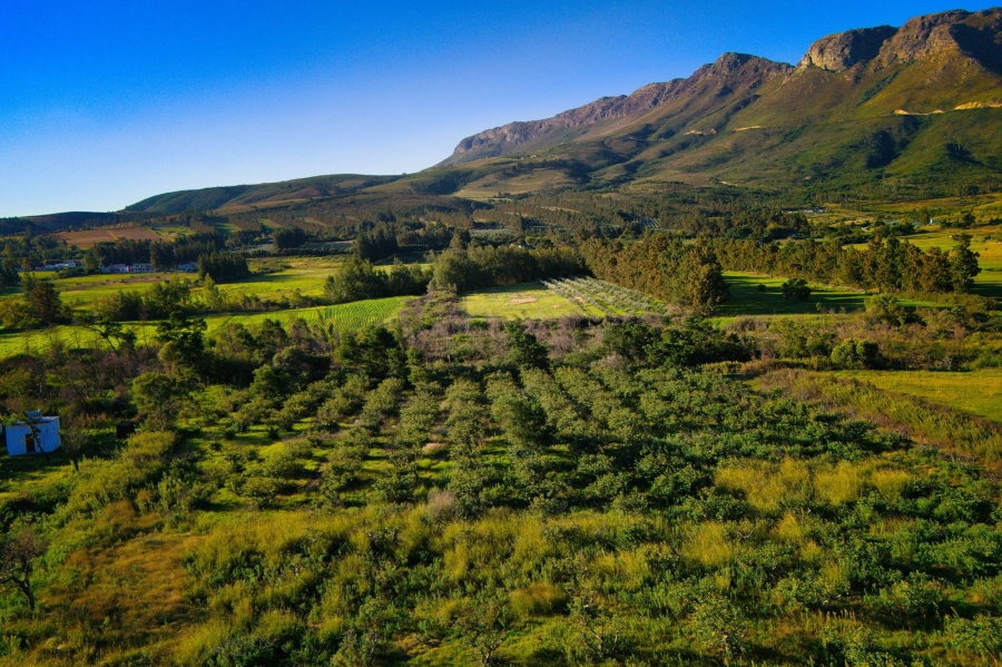 0 Bedroom Property for Sale in Paarl Rural Western Cape